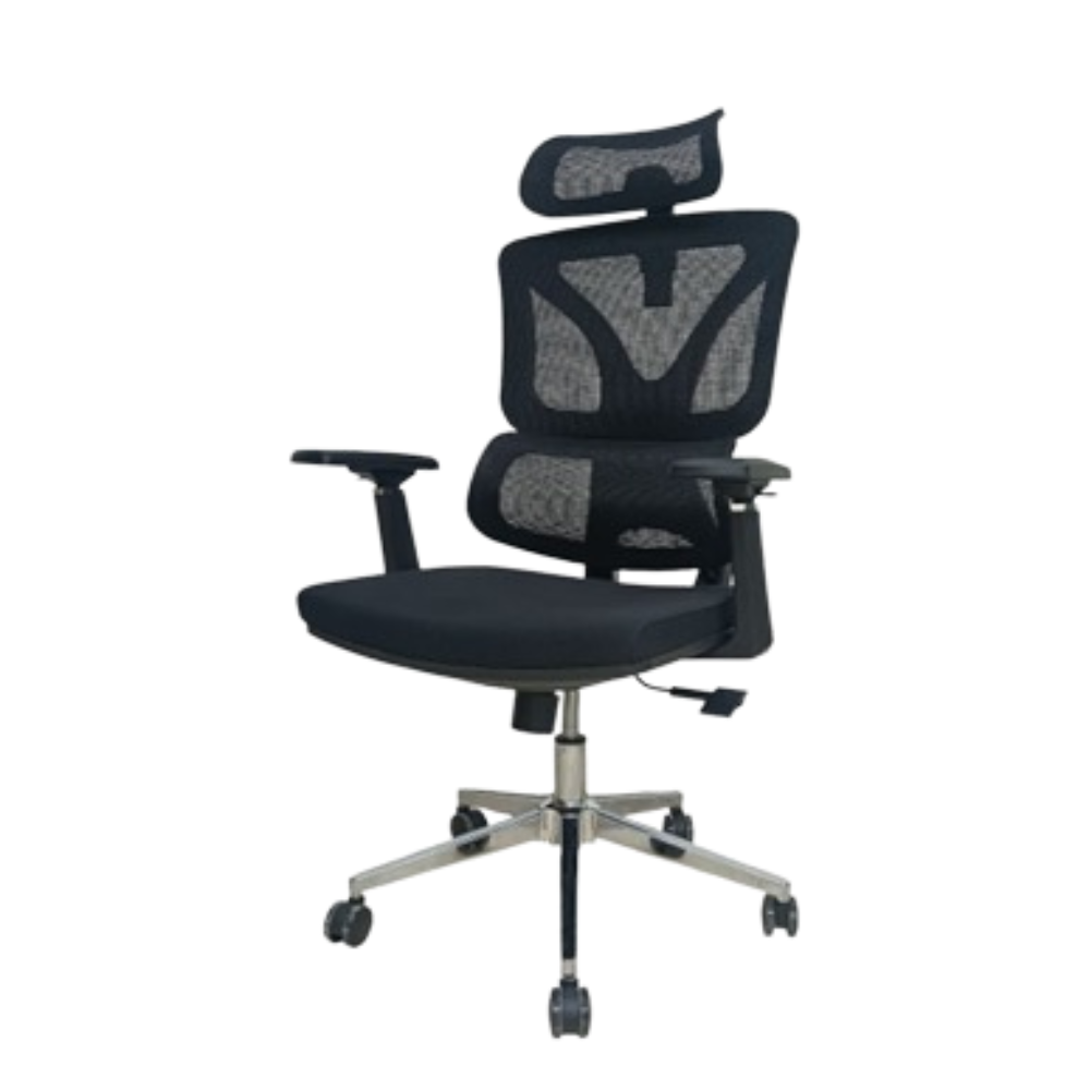 Furalux FR 121 Ergonomic Mesh Office Chair (4D Armrests)