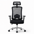 Comfortable Ergonomic Mesh Office Chair, High Back + Headrest Computer Chair with 3D Adjustable Armrests and Lumbar Support for Home and Office, Black LY-M1541C-1 OFFICE CHAIR