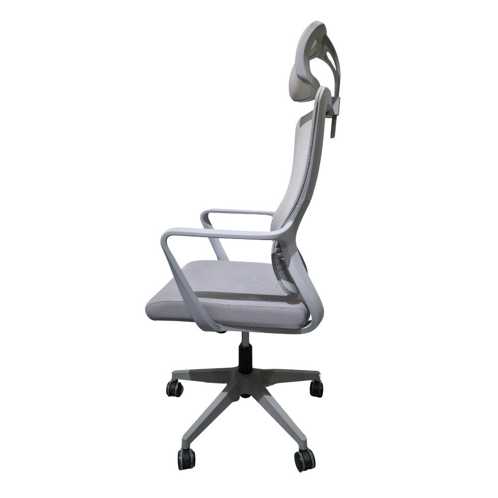 Aero Active Gree Ergonomic Office Chair with Mesh Back Support, Adjustable Features,  Modern Design (Gree)