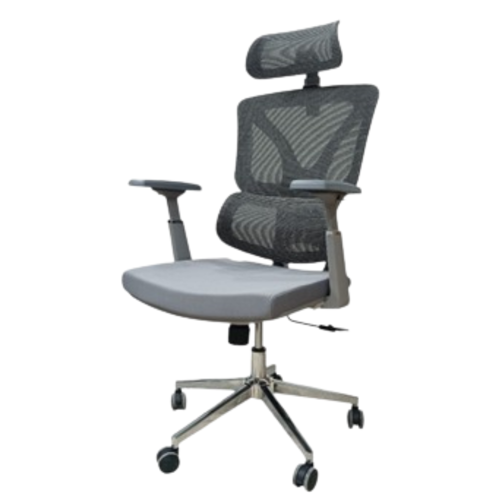 Furalux FR 121 Ergonomic Mesh Office Chair (4D Armrests)